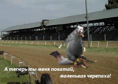 �������� ���������������