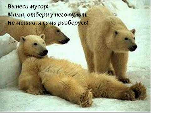 �������� ���������������